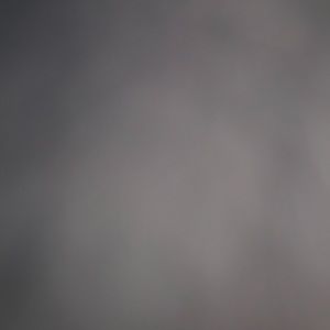 Meet your Posher, Gracie